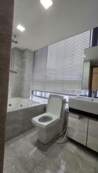 Angullia Park Residences @ Orchard (D10), Apartment #612061431